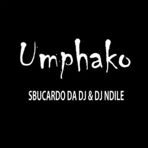 Sbucardo Da DJ - Umphako ft. Dj Ndile